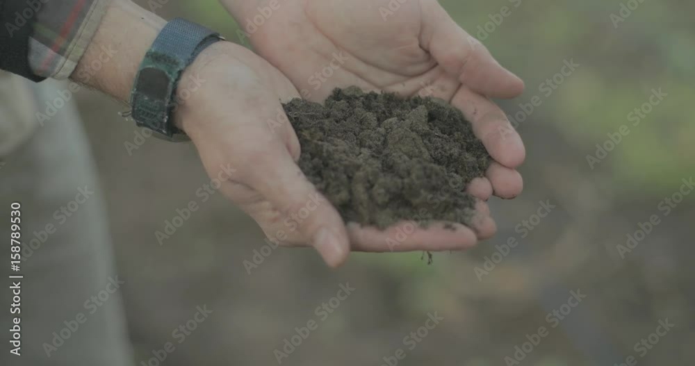Man holding dirt outdoors in a garden Man holding dirt outdoors in a garden