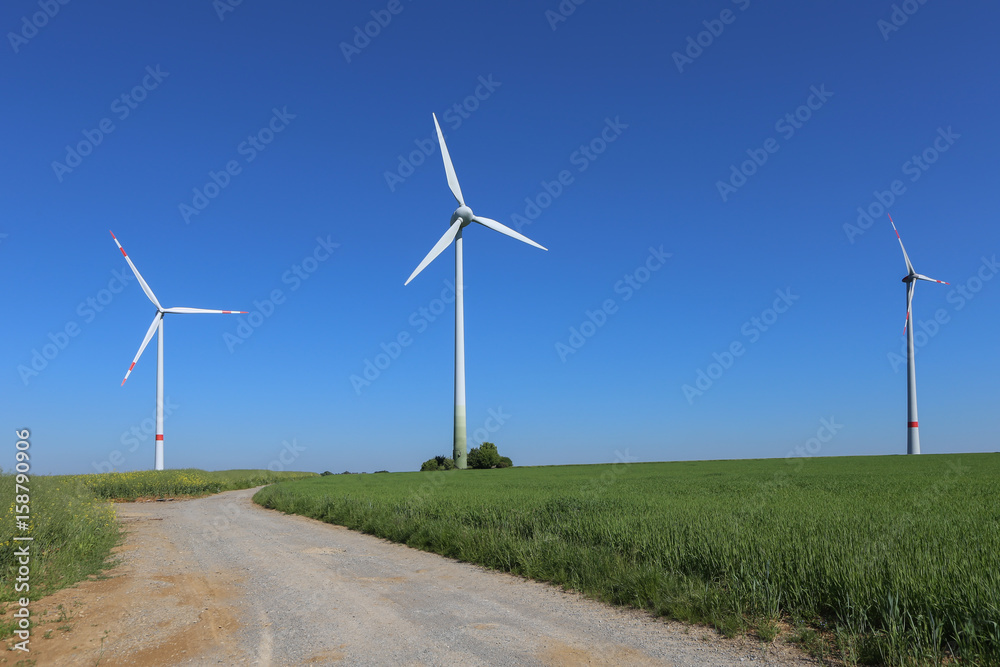 Alternative Energy / Wind turbines in a field Alternative Energy / Wind turbines in a field