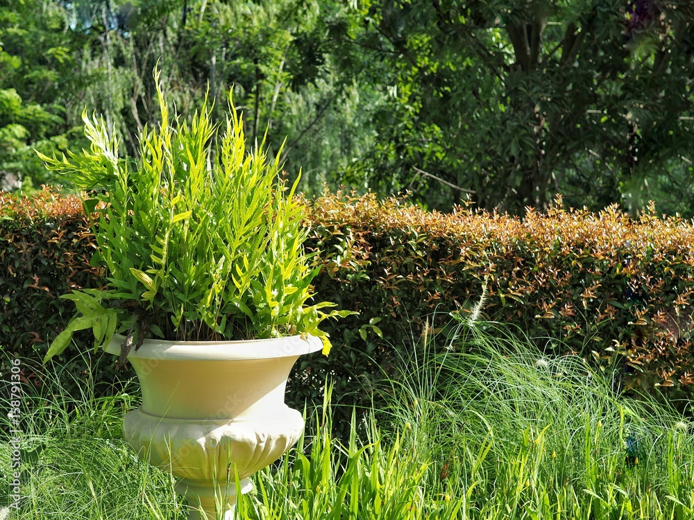 Flower pot decorate in the garden. Exterior garden design in europe and vintage style. Flower pot decorate in the garden. Exterior garden design in europe and vintage style.