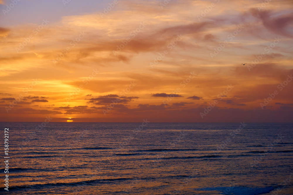 ein Vogel fliegt vor dem malerischen Sonnenuntergang am Meer, Pazifik, San Diego, Amerika