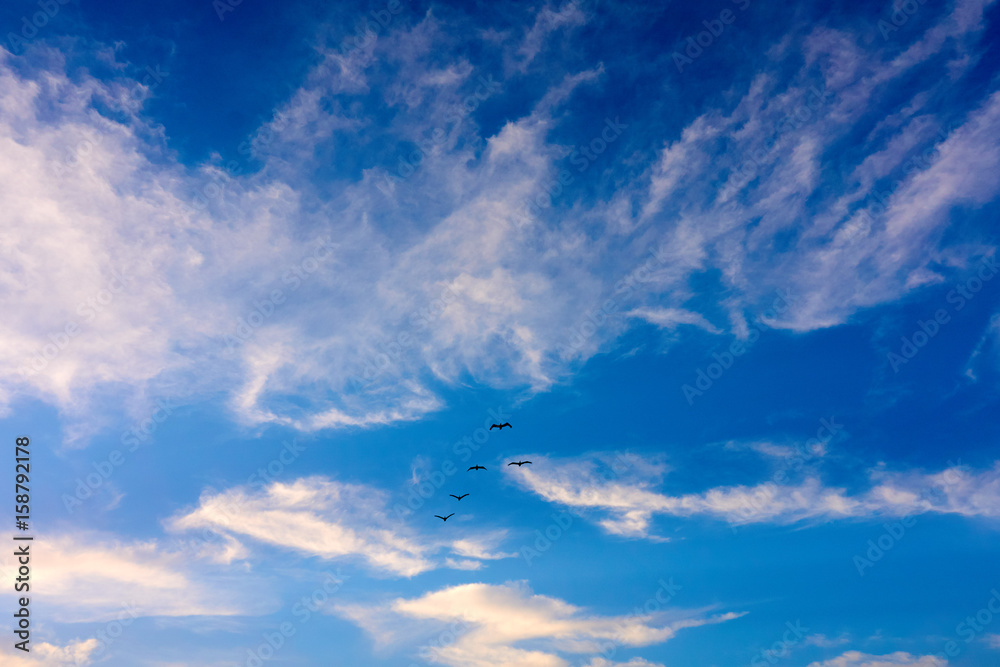 fünf Vögel fliegen in Formation, Wolken und Himmel im Hintergrund