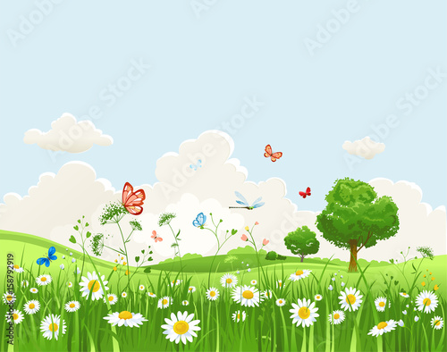 Summer morning landscape