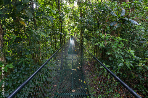 A metal suspension bridge that crosses the tropical forest in Costa Rica