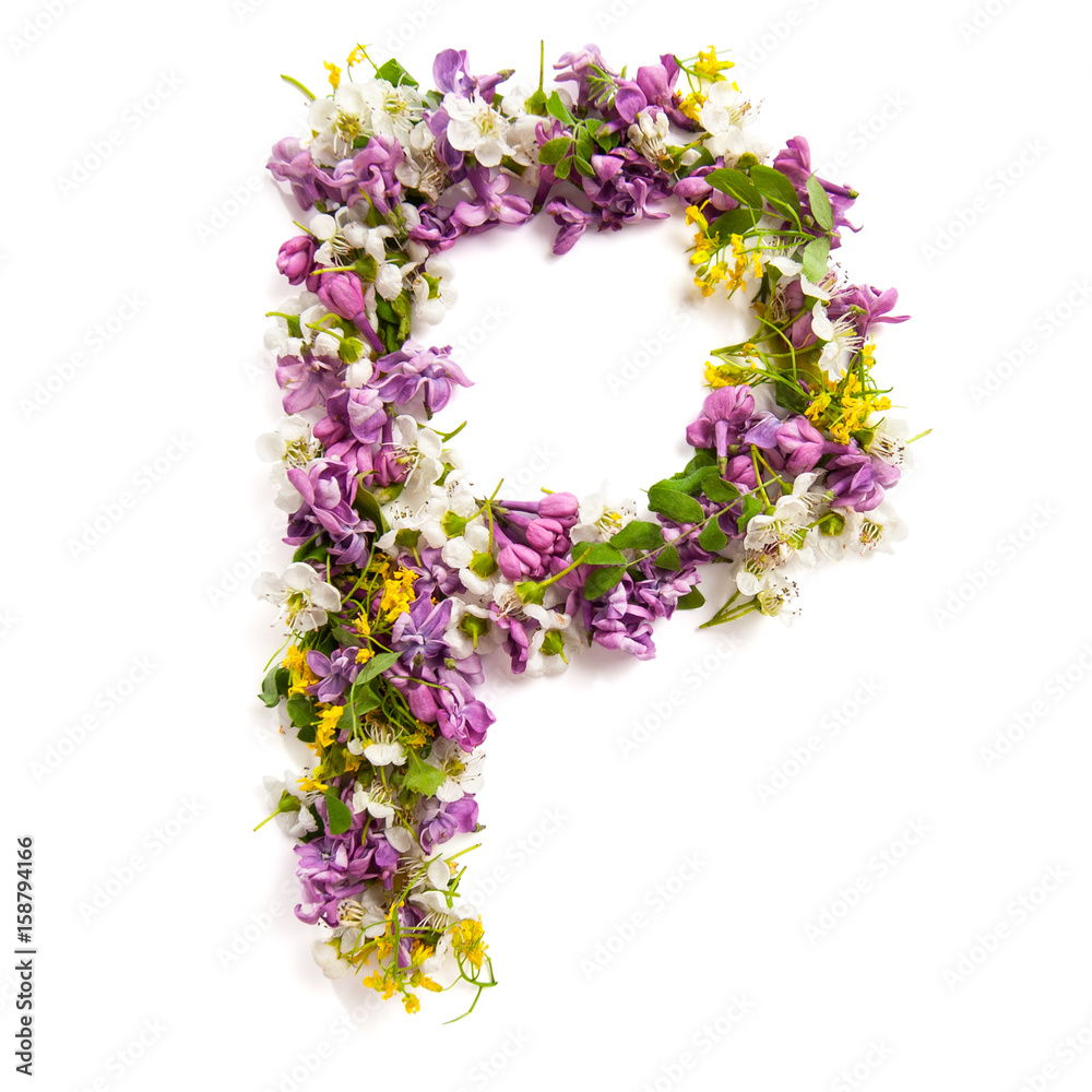 The letter «P» made of various natural small flowers..