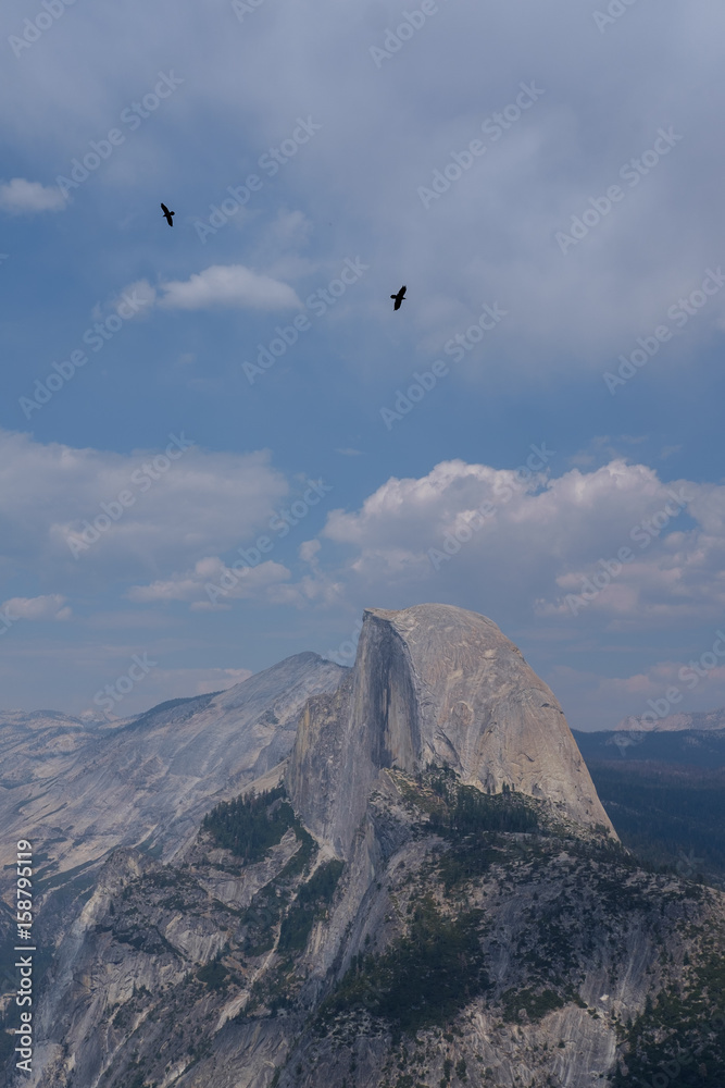 Birds flying above rock cliffs in Yosemite National Park Birds flying above rock cliffs in Yosemite National Park