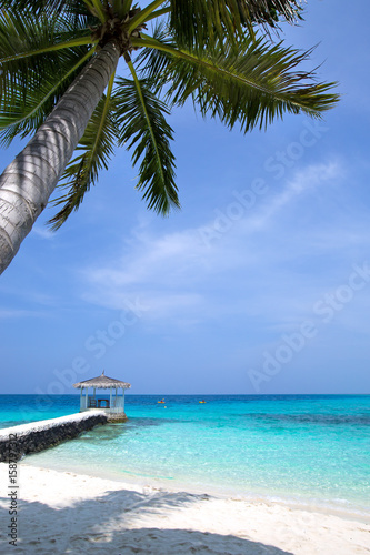 Fototapeta Naklejka Na Ścianę i Meble -  Maldives tropical beach with coconut palms and sea view