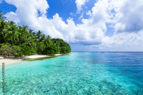 Tropical pristine beach with coconut palms © photopixel