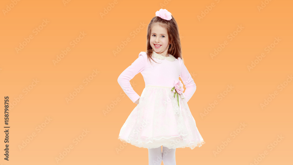Fototapeta premium Elegant little girl in a pink dress.