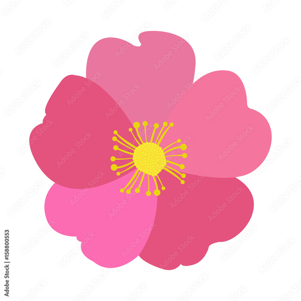 Fototapeta premium Isolated colored flower on a white background, Vector illustration