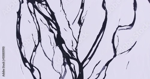 Overhead aerial, winding river in Iceland