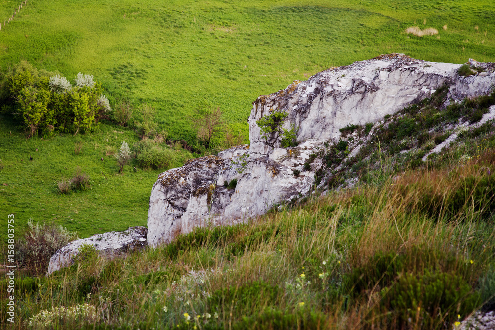 Landscape with Cretaceous Rocks Landscape with Cretaceous Rocks