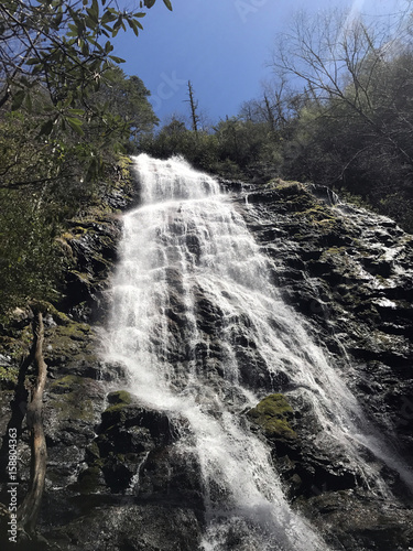 Waterfall in Treeline