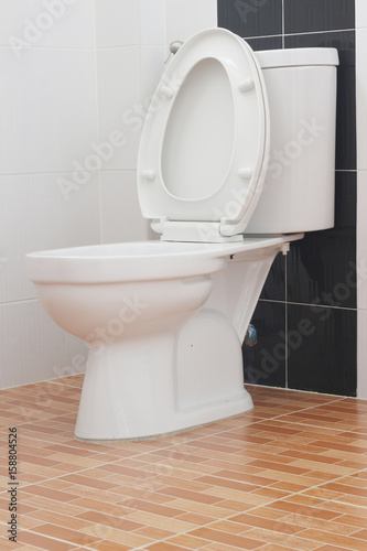 White toilet bowl