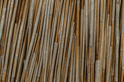 Pile of dry cane