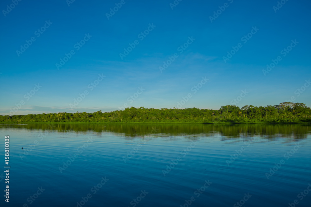 Jungle reflected in a lake in Limoncocha National Park in the Amazon rainforest in Ecuador