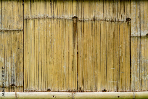 Bamboo bark texture