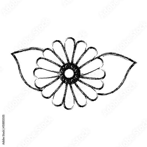 beautiful flower and leaves icon over white background vector illustration