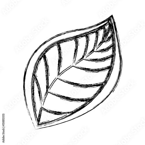 leaf icon over white background vector illustration