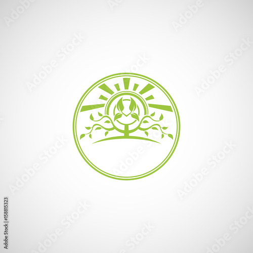 Abstract tree vector logo design template.