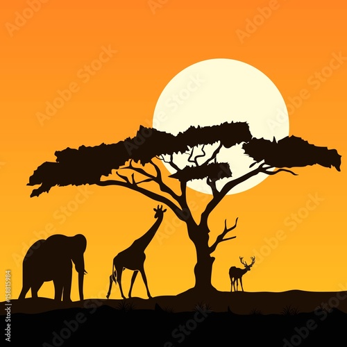 Wild animals silhouette with sunset