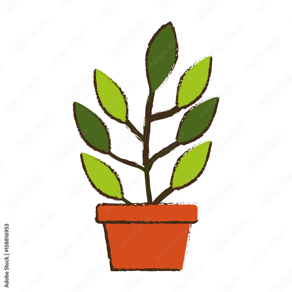 plant in pot icon over white background colorful design vector illustration plant in pot icon over white background colorful design vector illustration