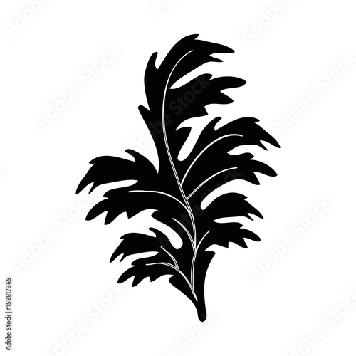 Plant nature ecology icon vector illustration graphic design