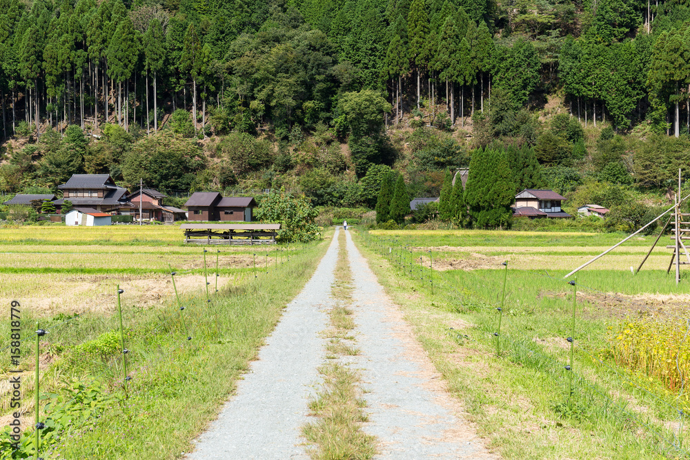 Rice field and mountain in Miyama