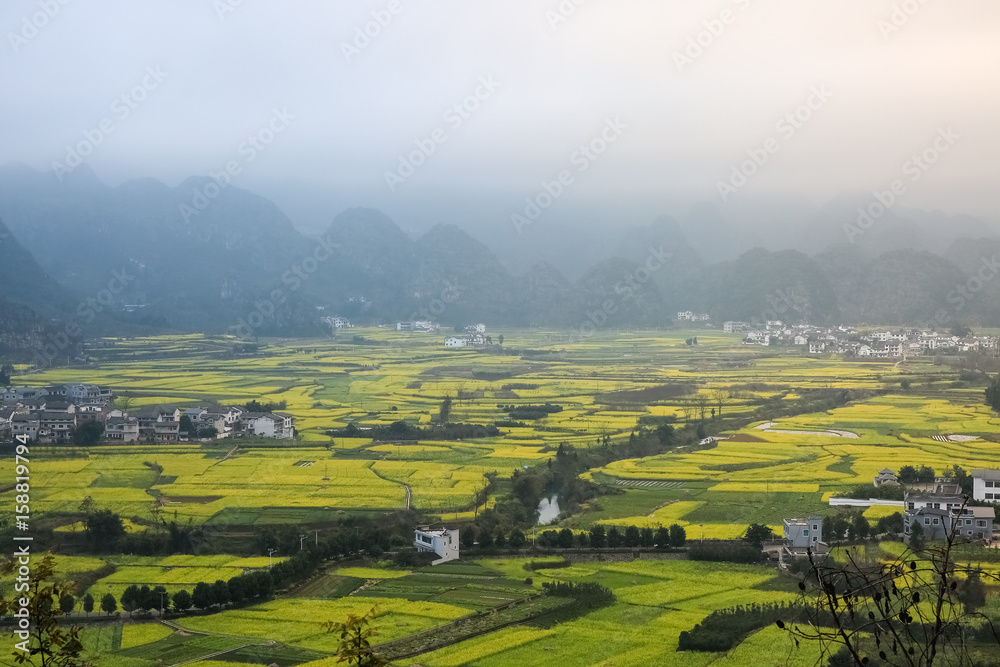 Naklejka premium yunnan landscape of rapeseed flowers field