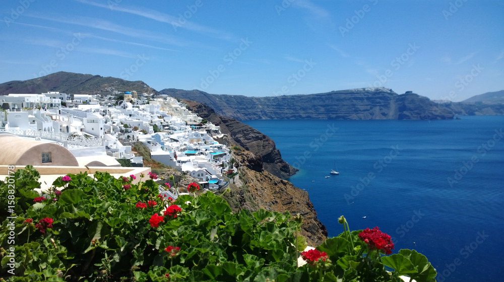 Beautiful bright panoramic view of Oia in Santorini - the white buildings, the bright sea and beautiful plants in the foreground