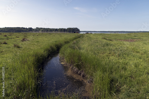 Fotografija Danish Coastline Landscape