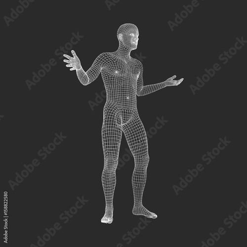 Fototapeta Naklejka Na Ścianę i Meble -  Man Stands on his Feet.3D Model of Man. Geometric Design. 3d Polygonal Covering Skin. Human Body Wire Model. Vector Illustration.