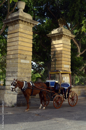 Traditional horse carriage in front of yellow brick building in Valletta,Malta