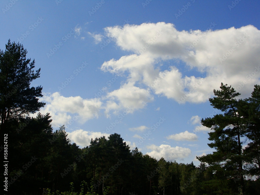 Blick in den Himmel Blick in den Himmel