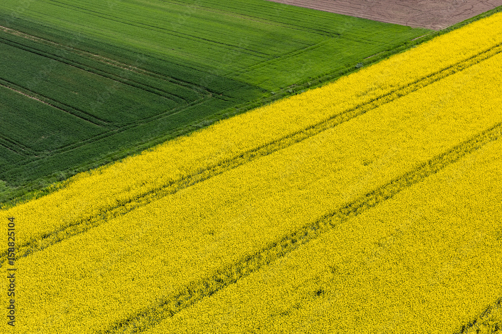 aerial view of the yellow harvest fields aerial view of the yellow harvest fields