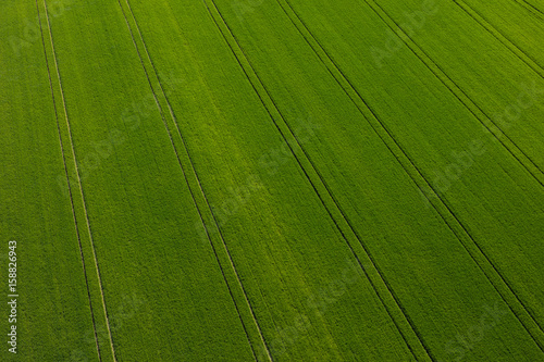 aerial view of the green harvest fields