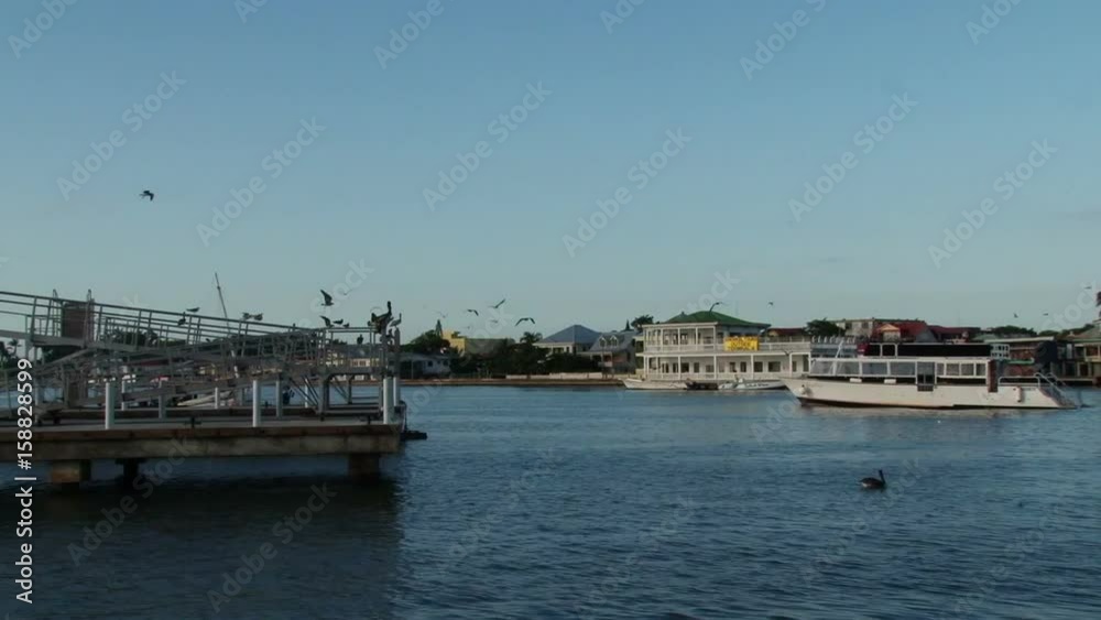 Birds fly over boats passing each other in the harbour of Belize City, Belize Birds fly over boats passing each other in the harbour of Belize City, Belize