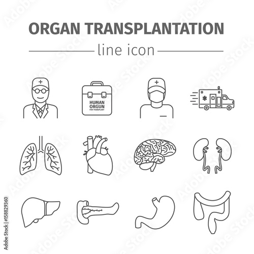 Organ transplantation line icons set.