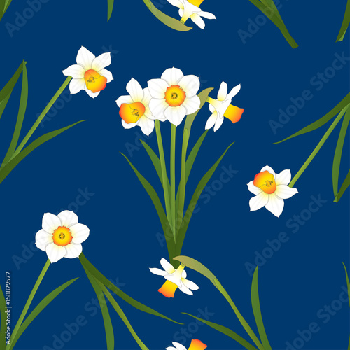 Fototapeta Naklejka Na Ścianę i Meble -  Daffodil - Narcissus on Indigo Blue Background. Vector Illustration