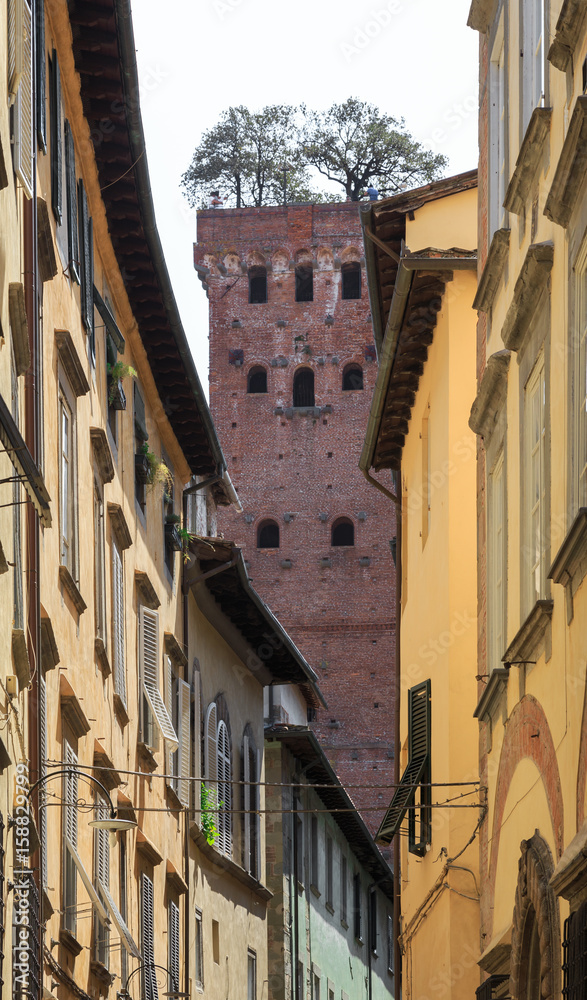 Via Sant' Andrea in Lucca, Tuscany. View towards Guinigi Tower (Torre Guinigi)