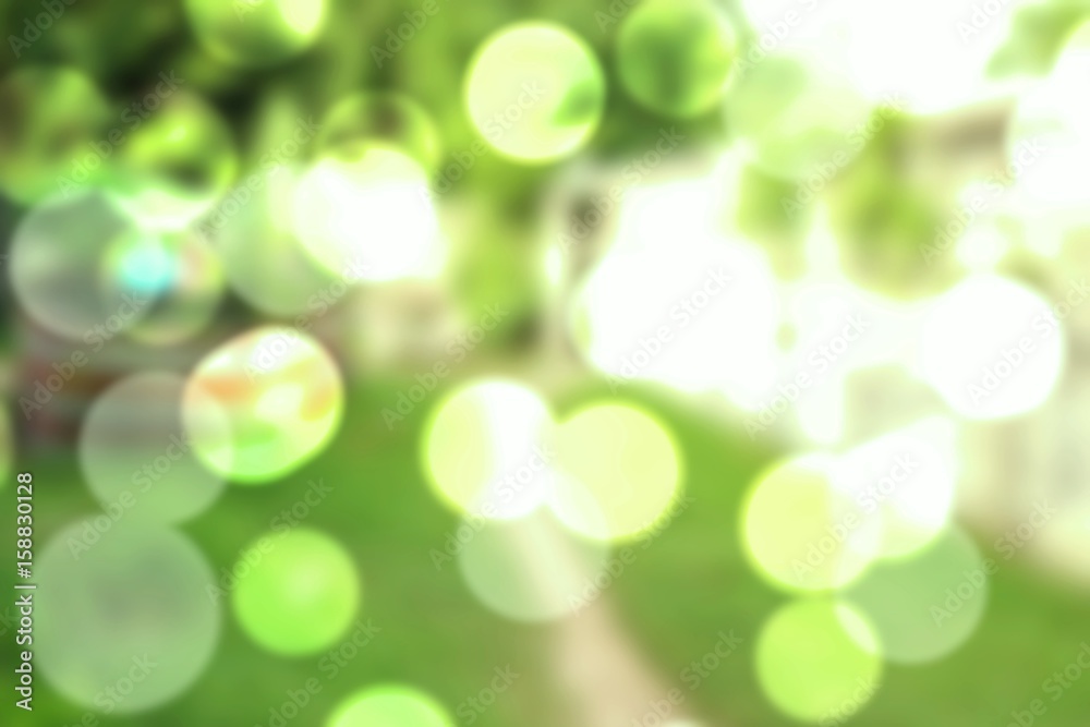 Blur natural, abstract green bokeh and light background the park Blur natural, abstract green bokeh and light background the park