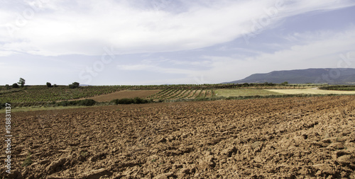 Agriculture plowed field