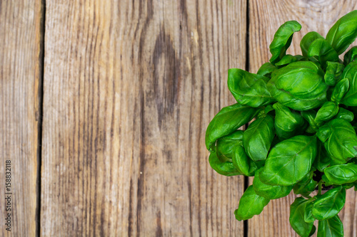 Young green basil on an old wooden table