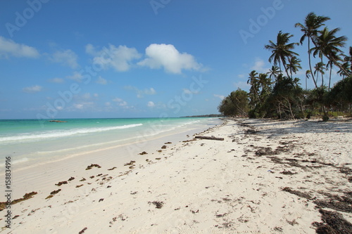 Kiwengwa Beach  Zanzibar Island  Tanzania  Indian Ocean  Africa