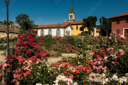 Fantastic Park of Roses in Trieste