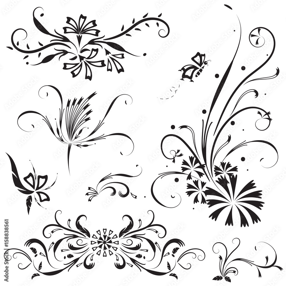Vector of flower calligraphic design elements in black lines swirl on white background