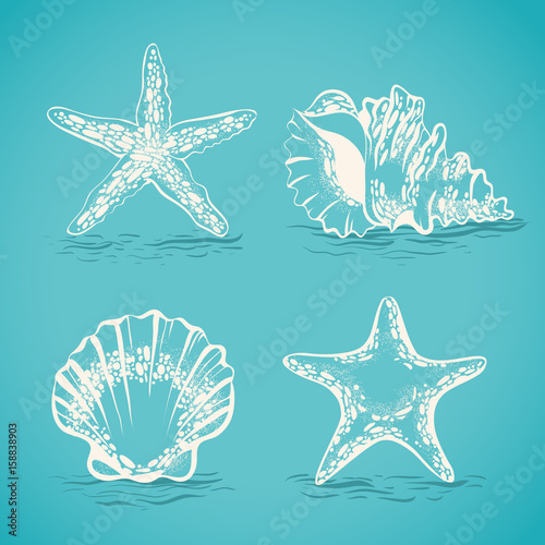 Decorative set sketch of seashells and starfish