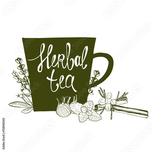 Herbal tea. Vector illustration.