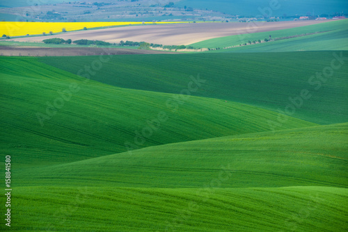Moravian Green Rolling Landscape With Field Of Wheat, Rape And Small Village.Natural Seasonal Rural Landscape In Green Color. Green wheat field with stripes and wavy abstract landscape pattern.Czech   © Vlad Sokolovsky