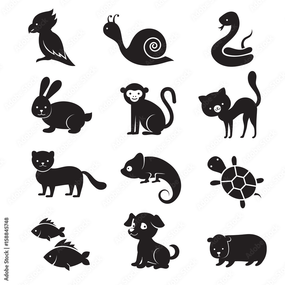 Pets and home animals vector icons