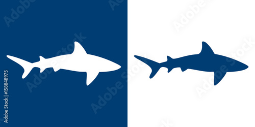 Icono plano tiburon azul y blanco